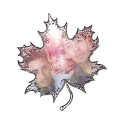 adil+hfid