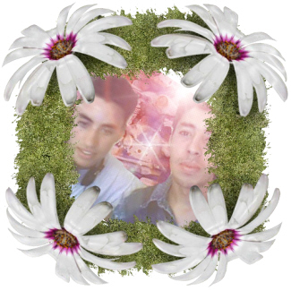 adil+hfid