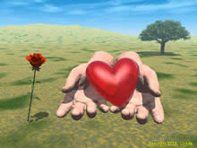 amour